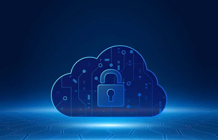 Network Protection in the Cloud Security 