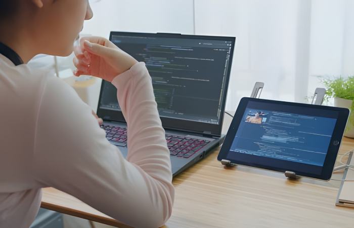 Python Full Stack Developers